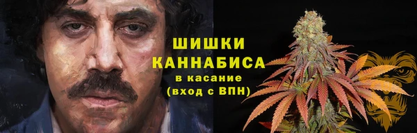 ECSTASY Вяземский